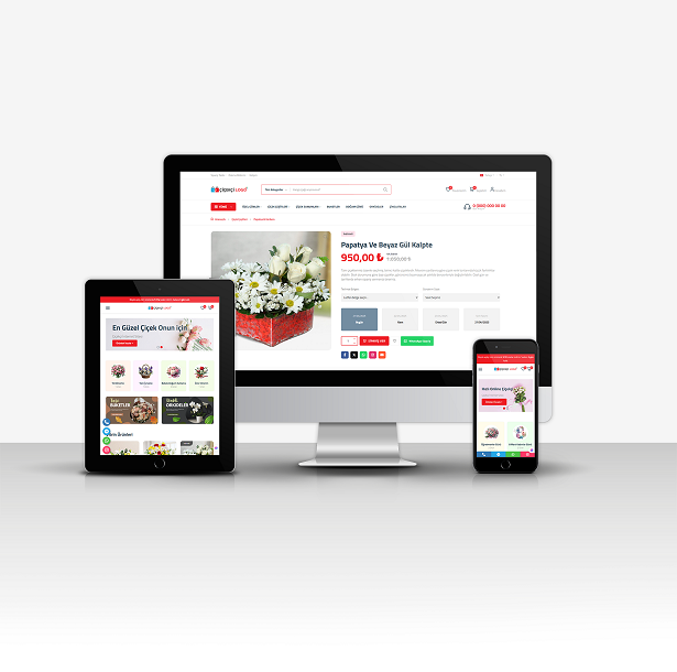 Profesyonel E-Ticaret V4