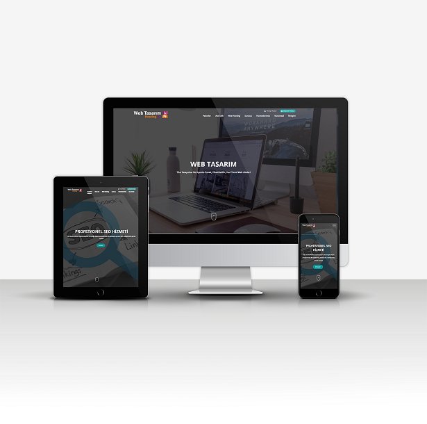 Web Satış + Domain + Hosting Satış P2